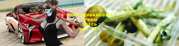 a pvp Володарск