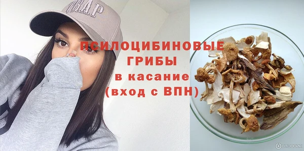 a pvp Володарск