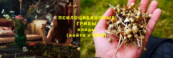 a pvp Володарск