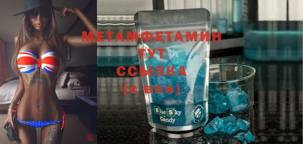 шишки Сосновый Бор