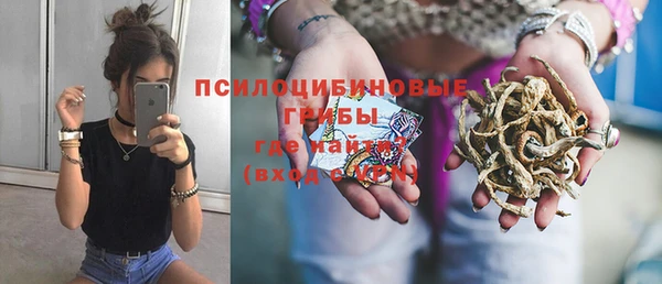 мдпв Волоколамск